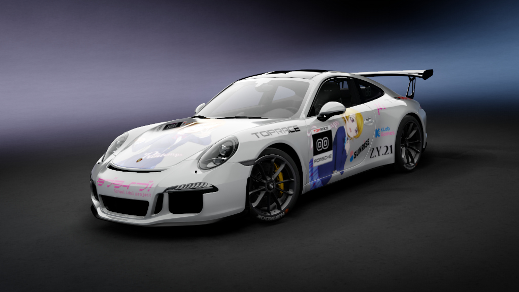Porsche 911 CUP P2P Preview Image