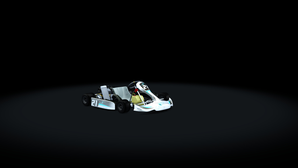 Rotax Max Kart Preview Image